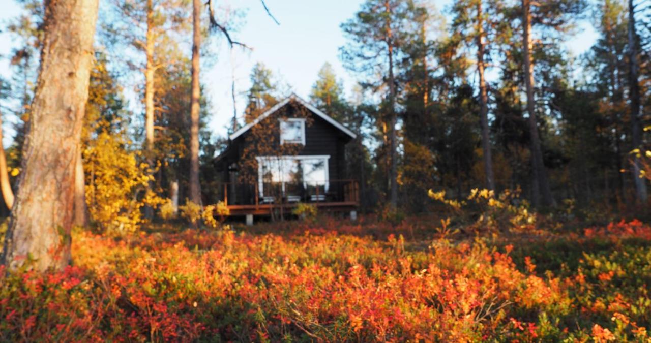 Lapintintti Eco-Cabin In Inari Exterior photo